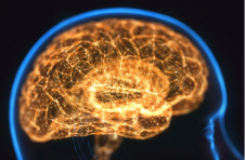 盲人可以“看到”科学家用电在大脑上绘制的信 盲人可以“看到”科学家用电在大脑上绘制的信