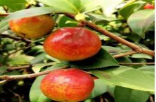 公益厨房为国人送健康,京东众筹助力汨江源启航 公益厨房为国人送健康,京东众筹助力汨江源启航