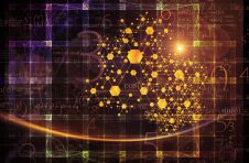 筑牢数字生态的制度根基