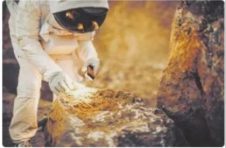 到外星去“挖土”，真人和机器谁更强
