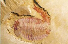 让科普场馆走出“深闺”， 企业能干啥