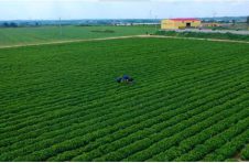 科技应用提升巴西农业生产效益