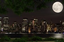 数字藏品亟待完善监管