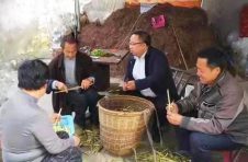 乡村振兴贵州系列报道之六十七