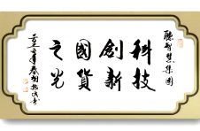 科技创新 国货之光——中宣部原副部长胡振民点赞听智慧科技